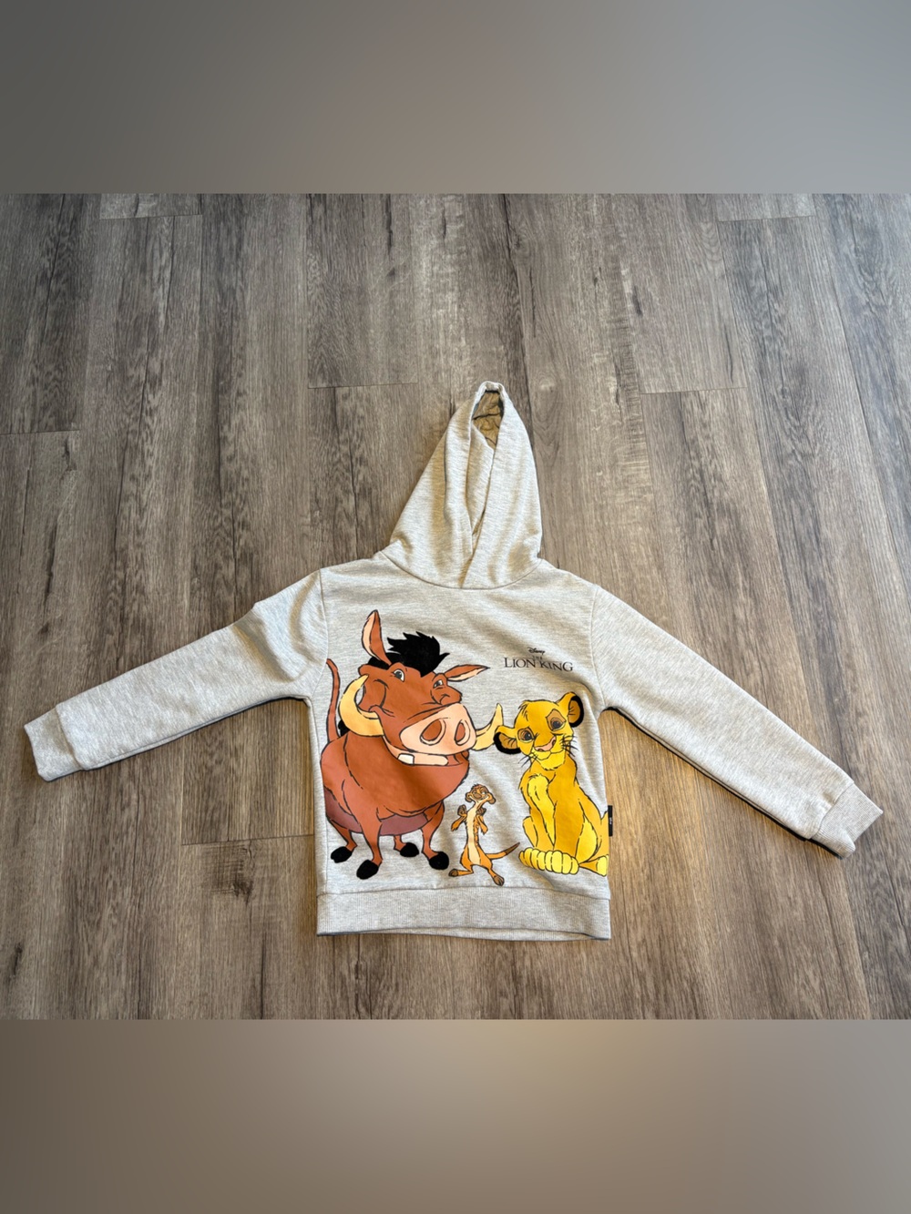 Kids The Lion King Hoodie 5/6